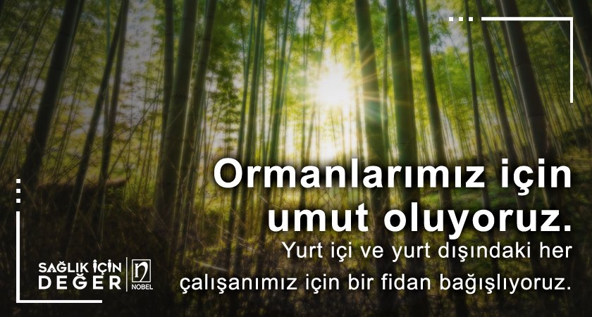 Ormanlarımız için umut oluyoruz. Yurt içi ve yurt dışındaki her çalışanımız için bir fidan bağışlıyoruz.
